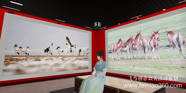 北京直播公司|网易瑶台切入数字艺术展，线上看展会成为长期趋势吗？