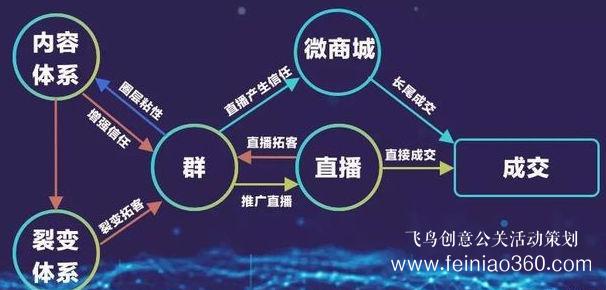 北京直播公司直播技巧 ‖ 品牌直播如何启动，如何搭建直播运营体系